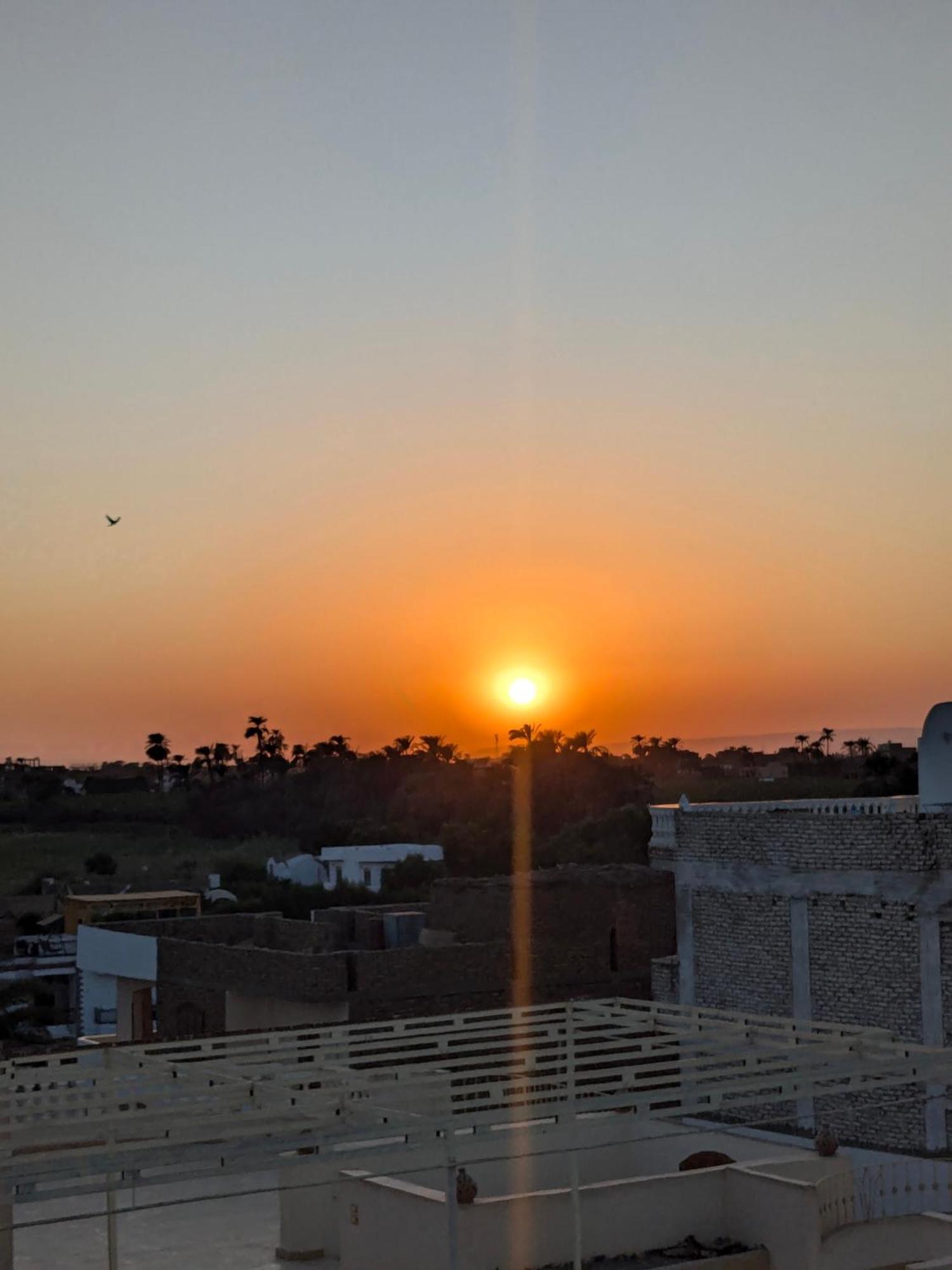לוקסור Al Ramla Guest House מראה חיצוני תמונה
